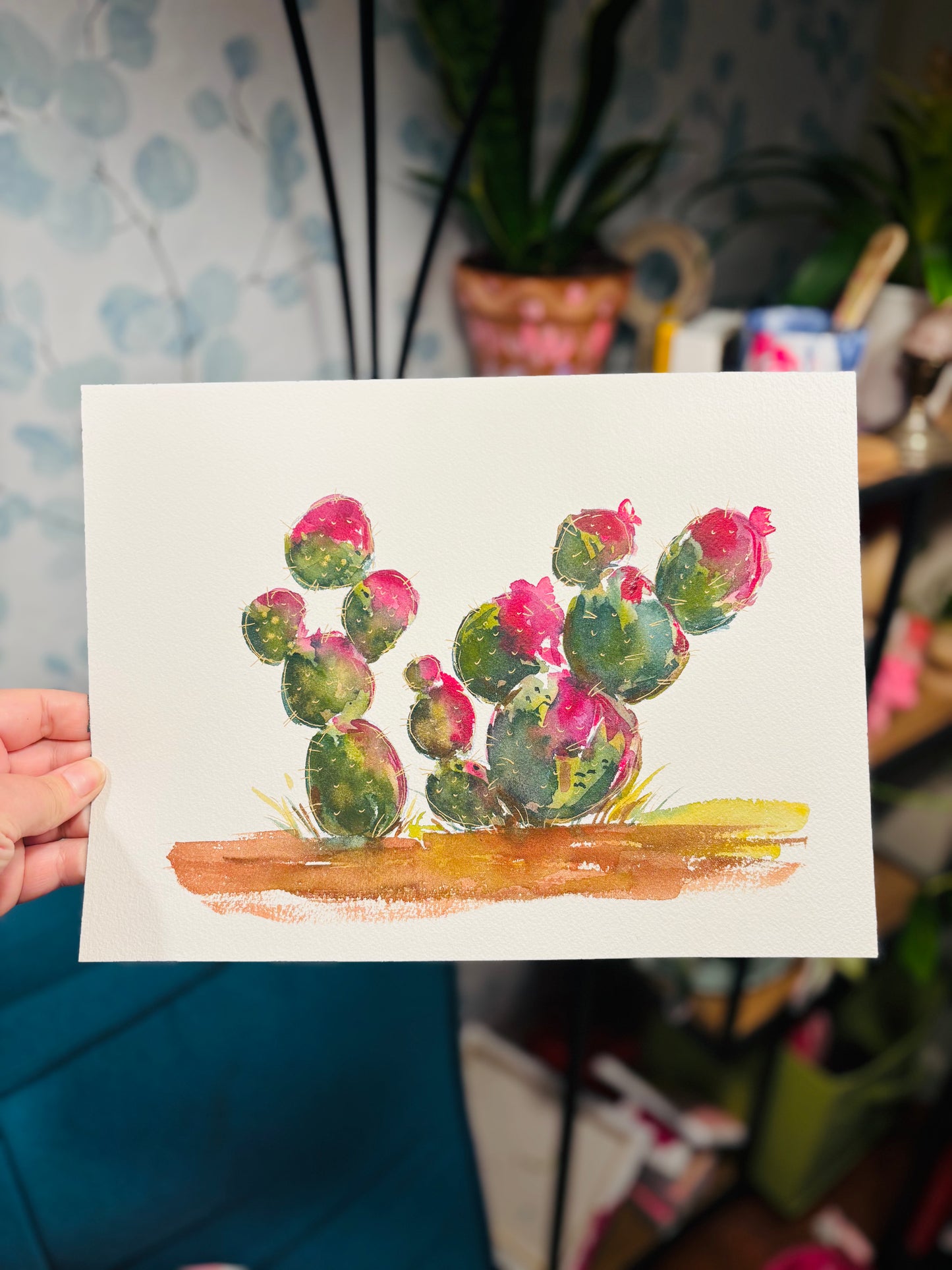 Prickly Pear Cactus