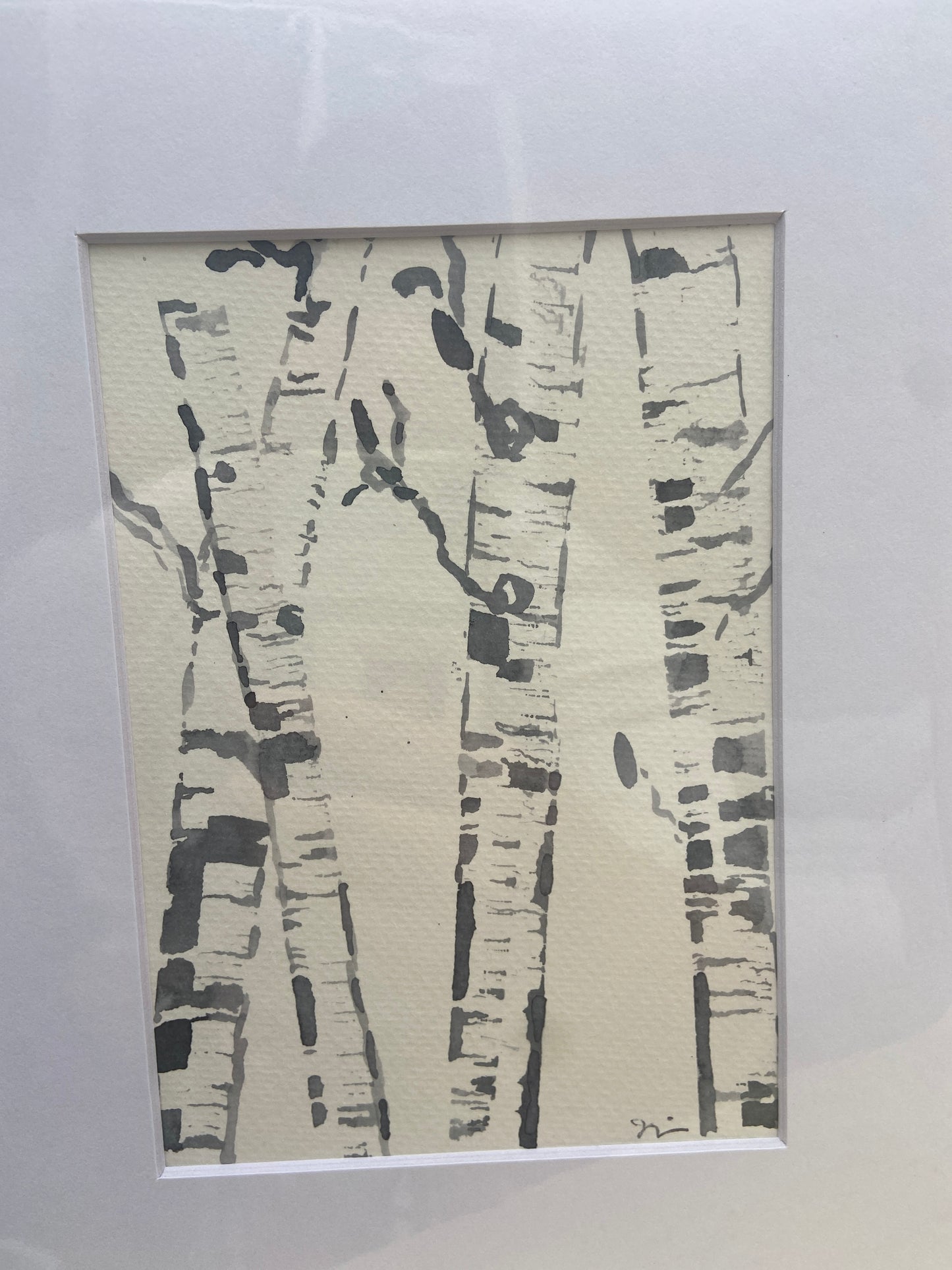 Leaf-Less Birches