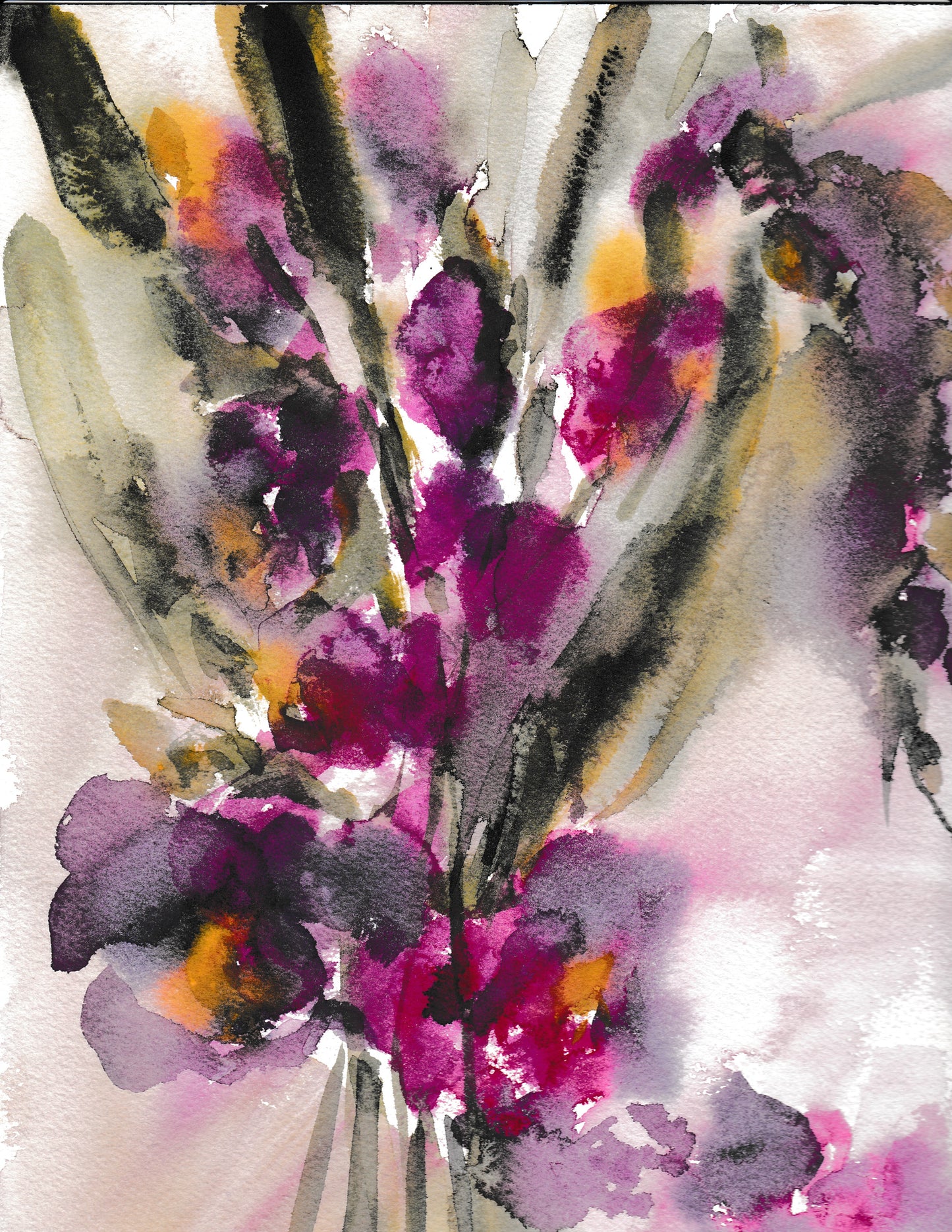 Abstract Gladiolus - Print