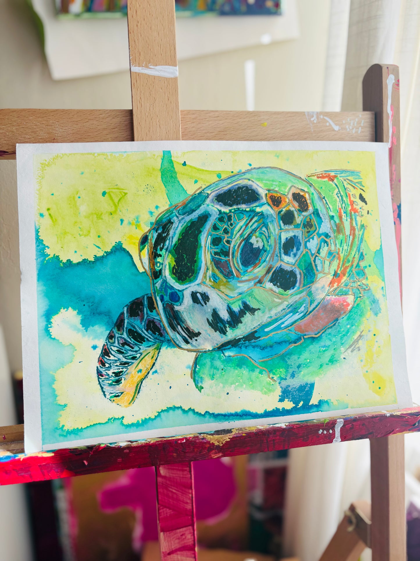 Tortuga
