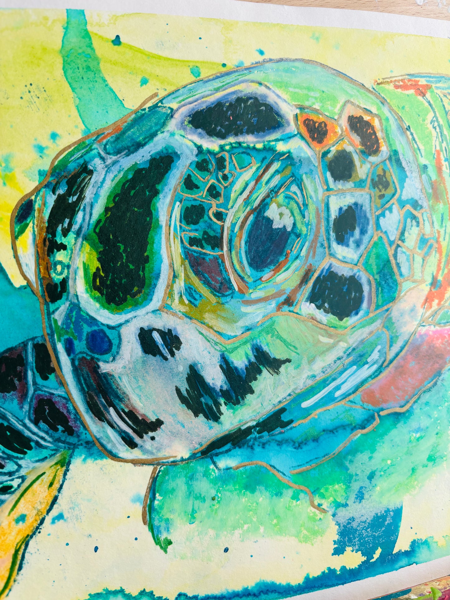 Tortuga
