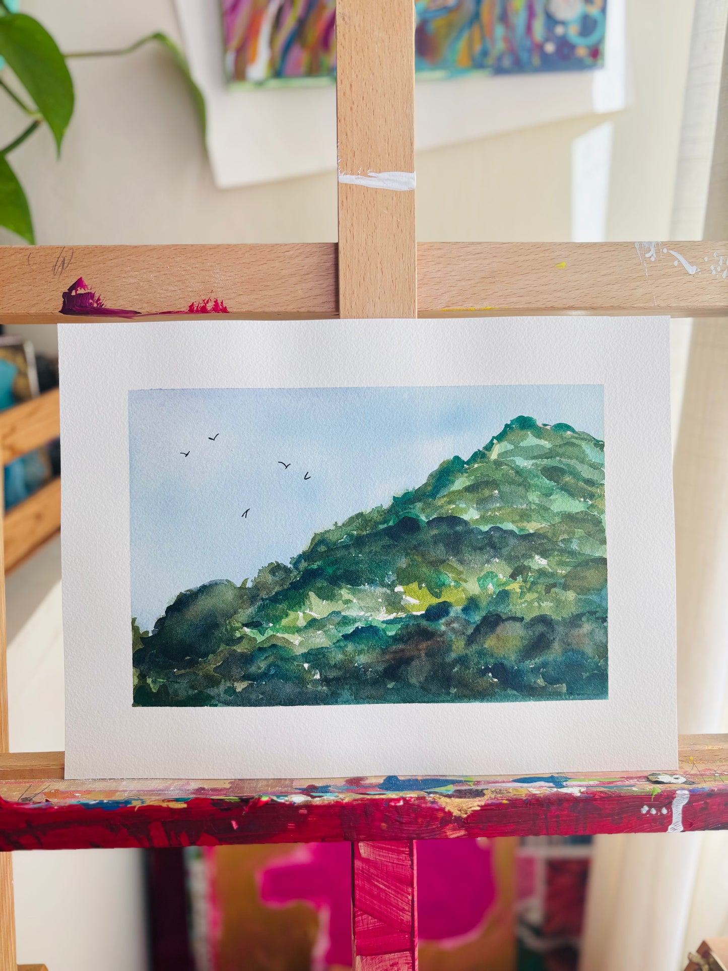 Bennett Valley Hills