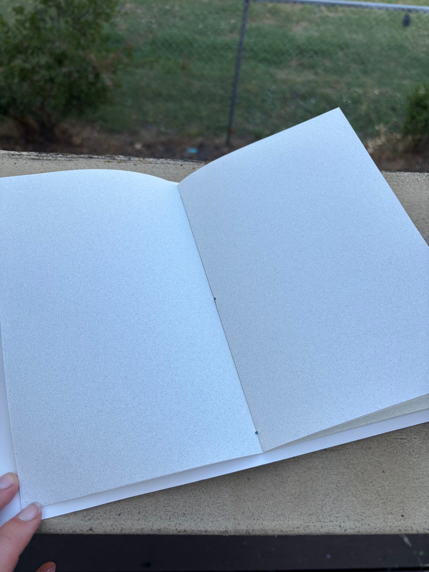 Cactus Journal