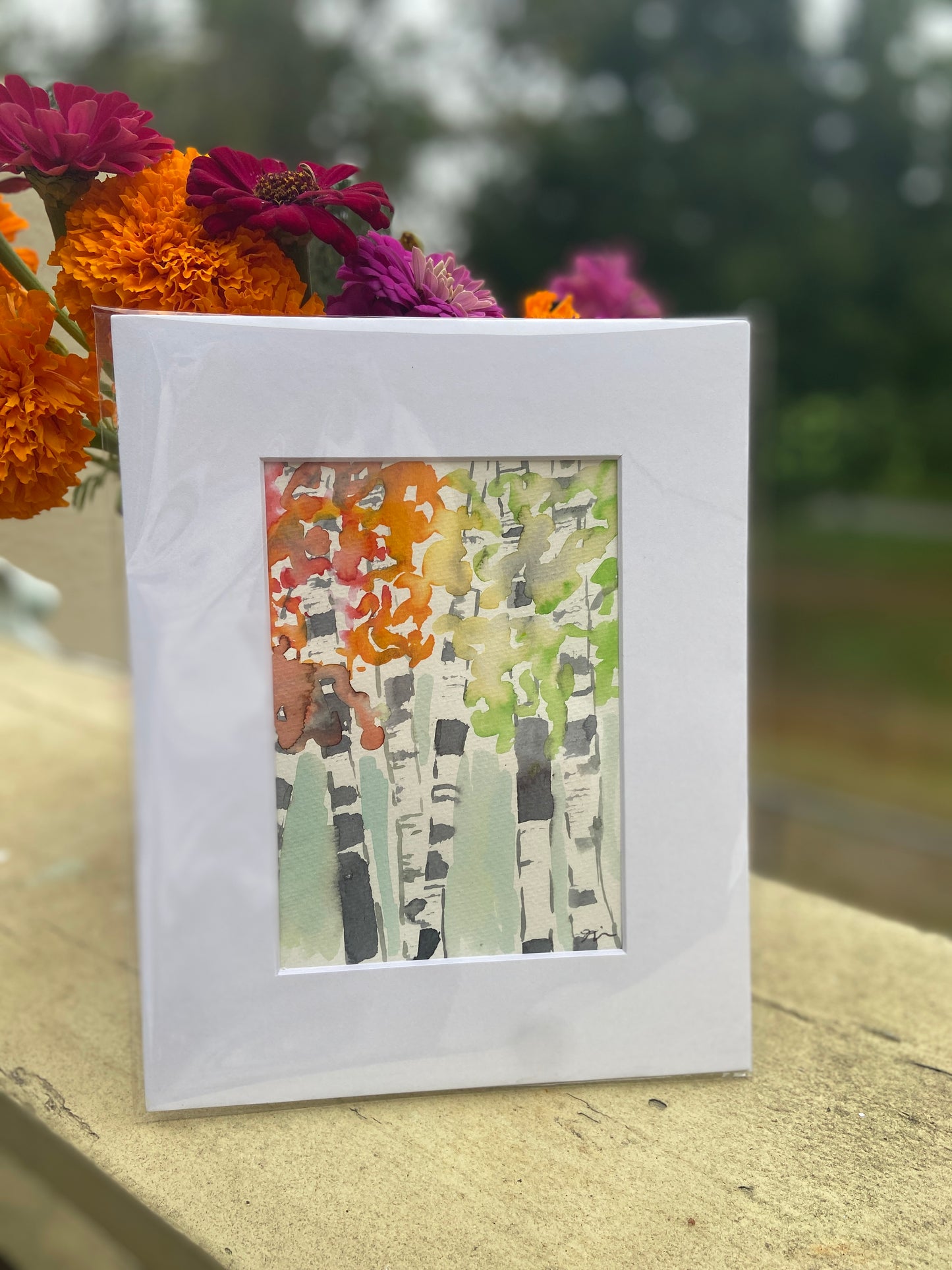 Fall Foliage
